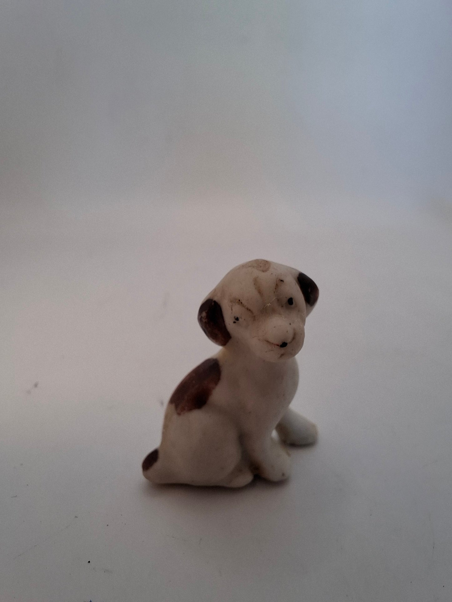 Tiny Animals MORE OF THEM