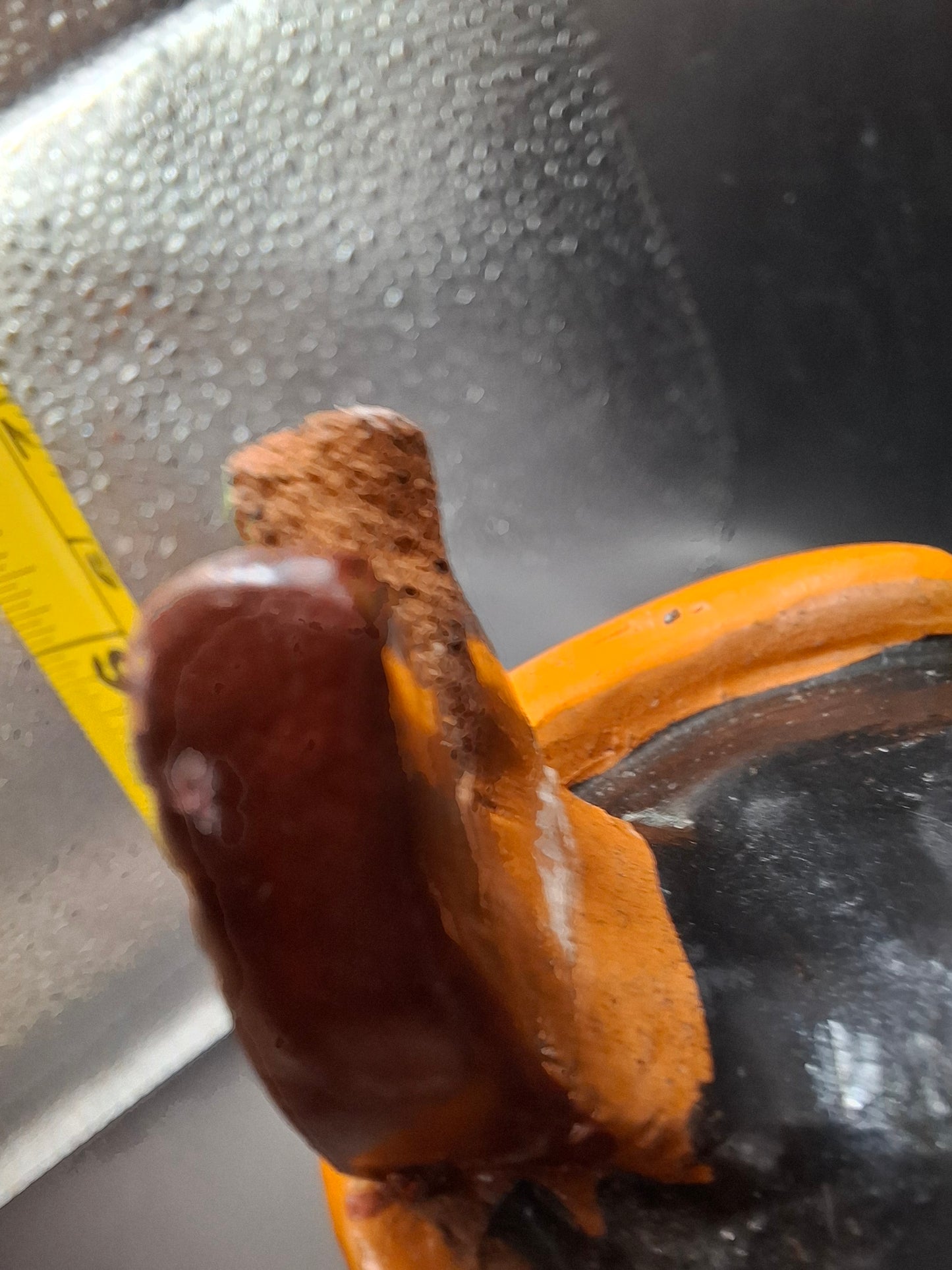 A Fella With His Cock Out