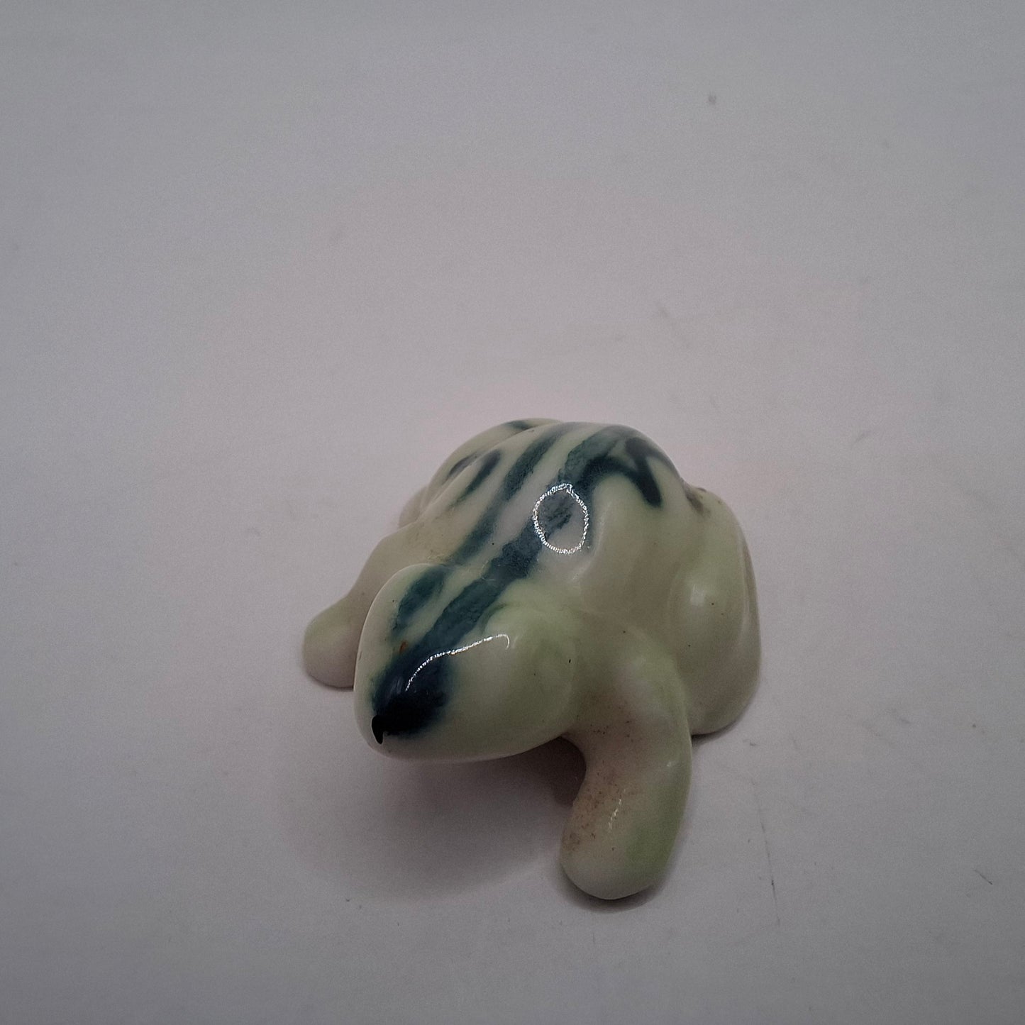 Tiny Animals