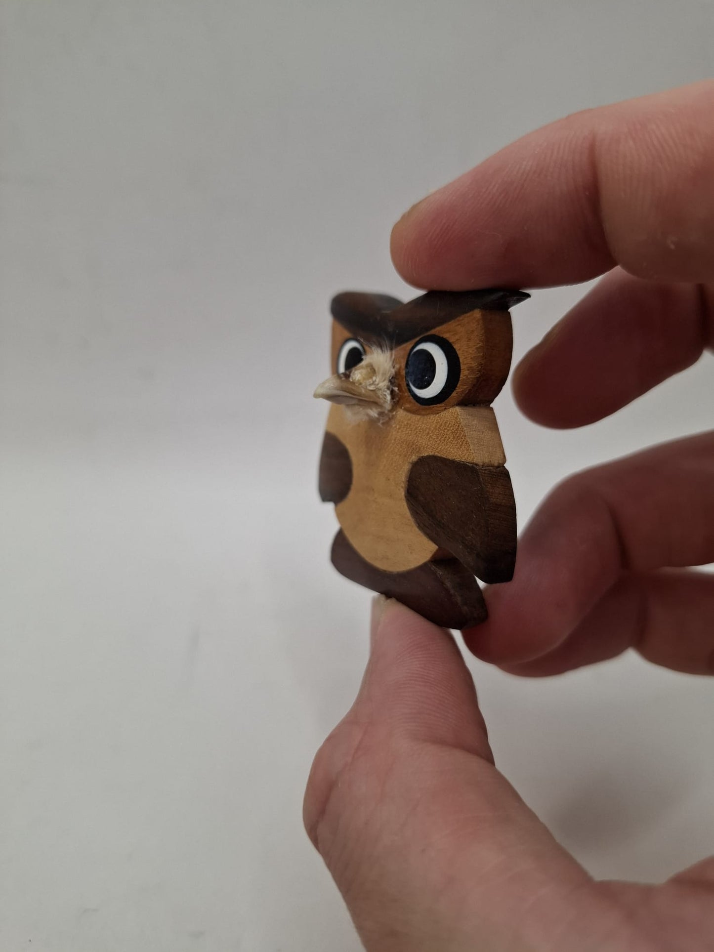 Bird Magnet