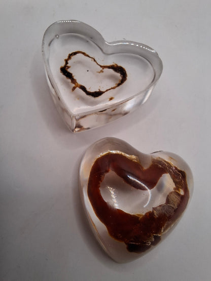 Intestinal Love Heart