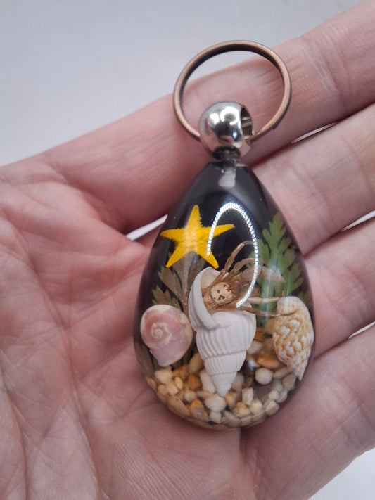 Hermit Crab Keyring