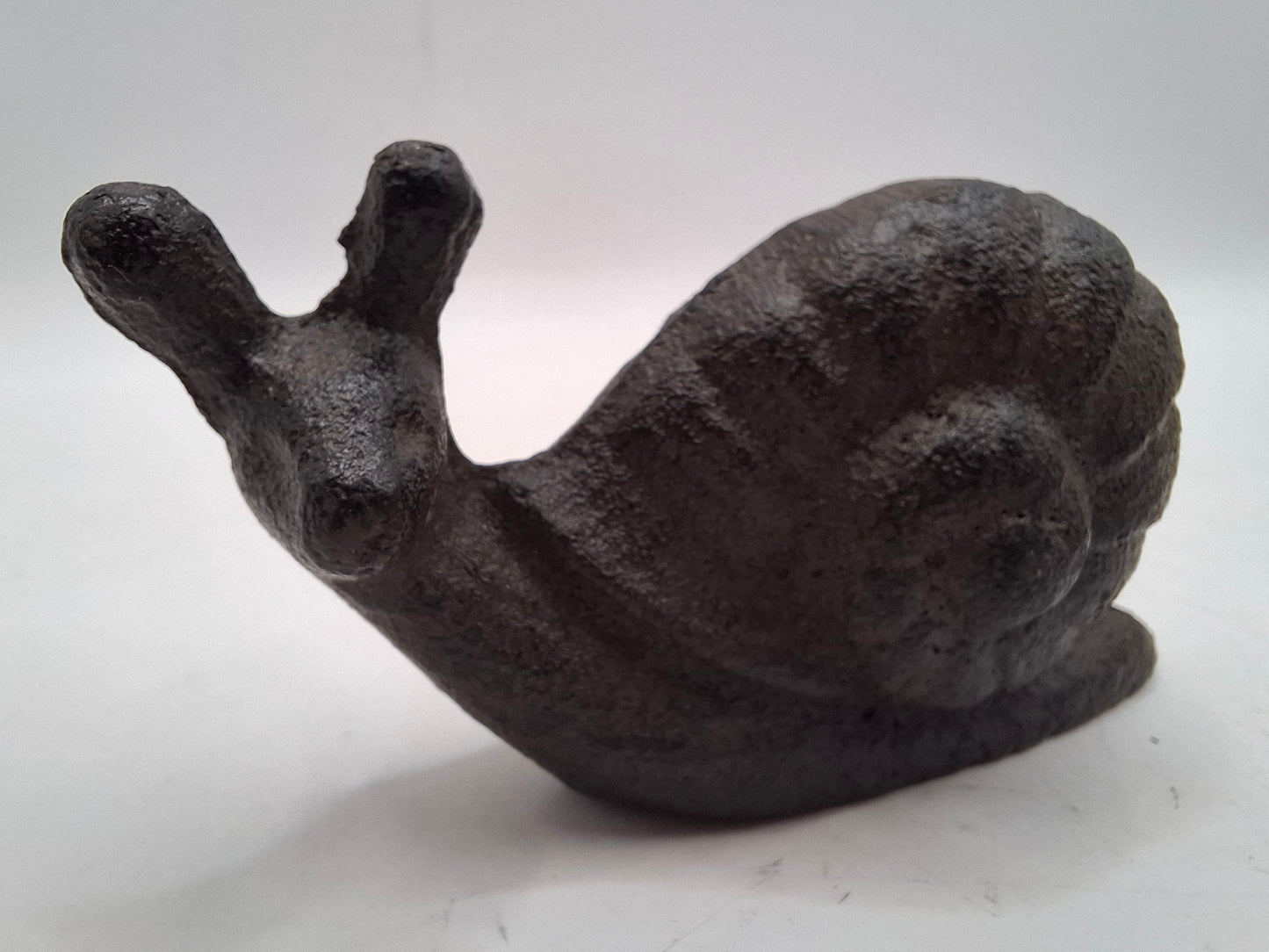 Black Snail