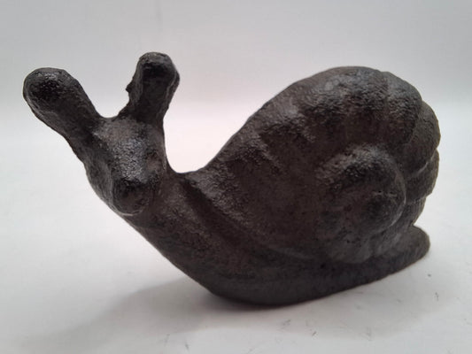 Black Snail