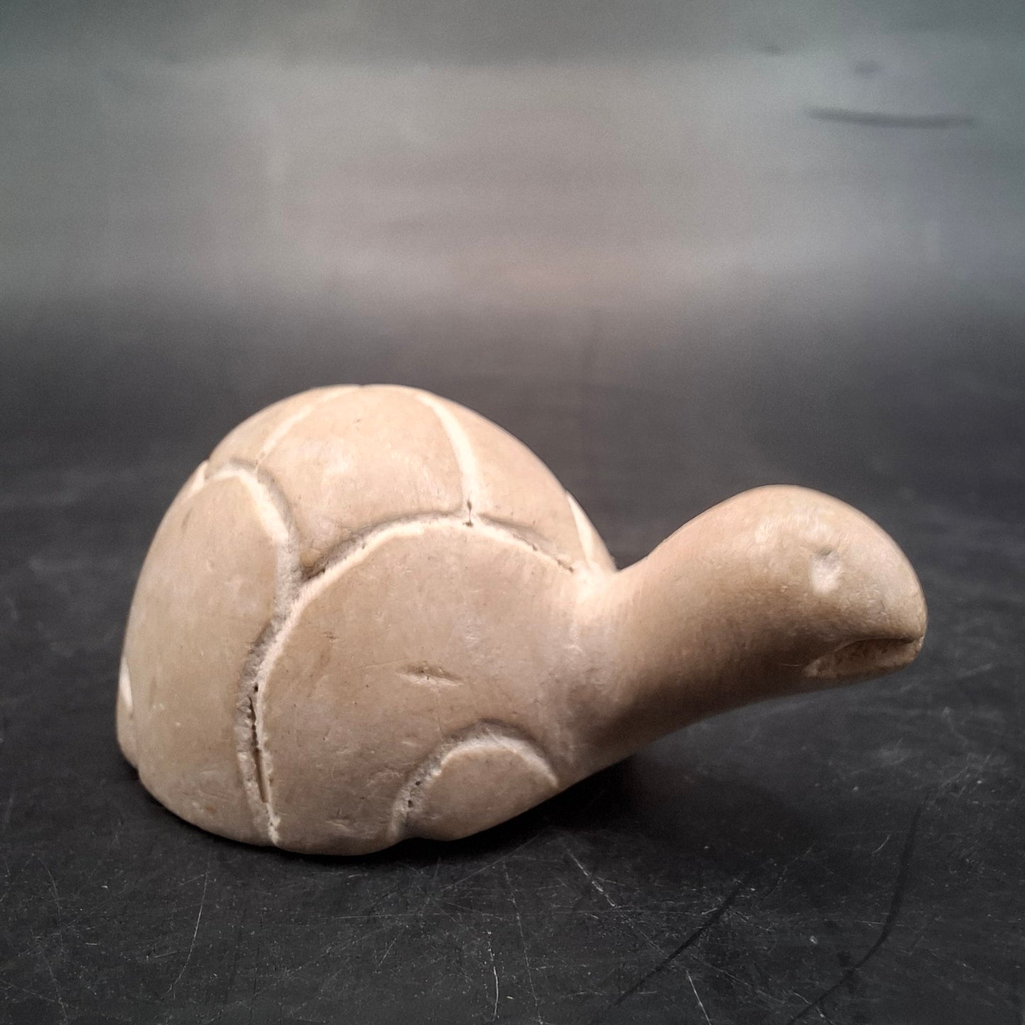 Little Turtle Carving