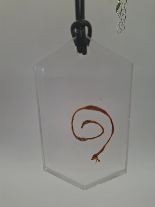 Intestinal Spiral Necklace