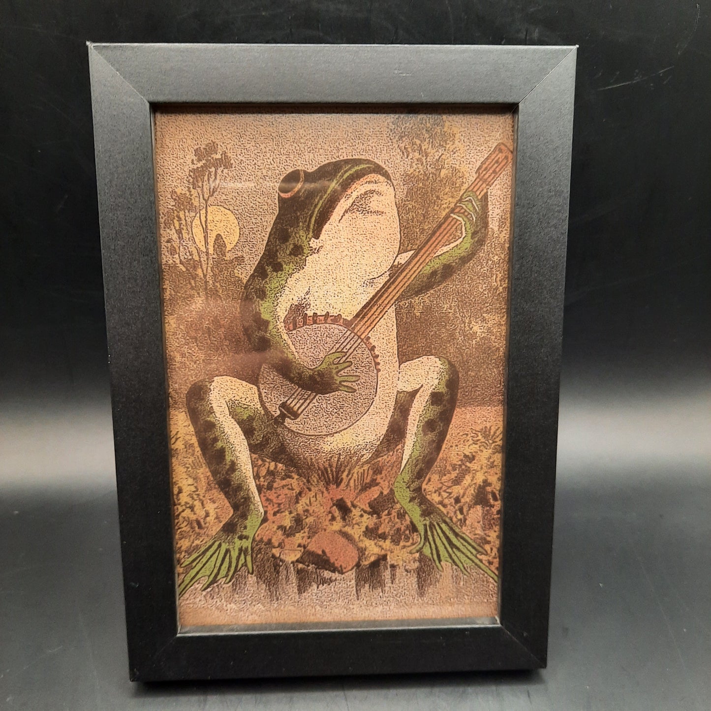 Framed Illustrations (Anatomical and more)