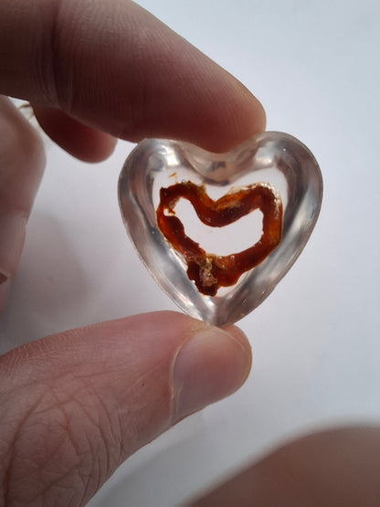 Intestinal Love Heart