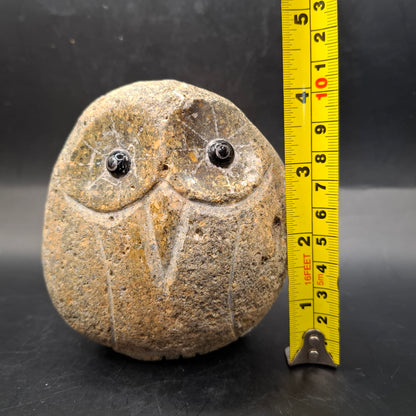 Owl Rock