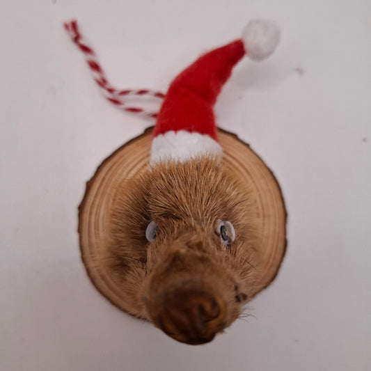 Snout Fur Christmas