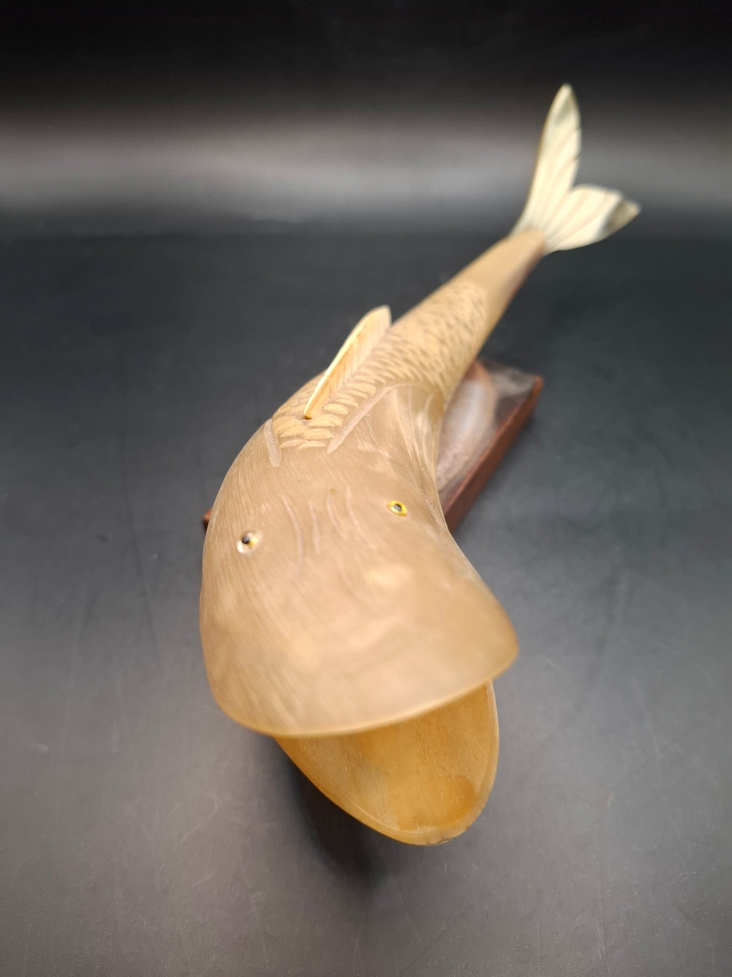 Fish Horn Carving (UK Only)