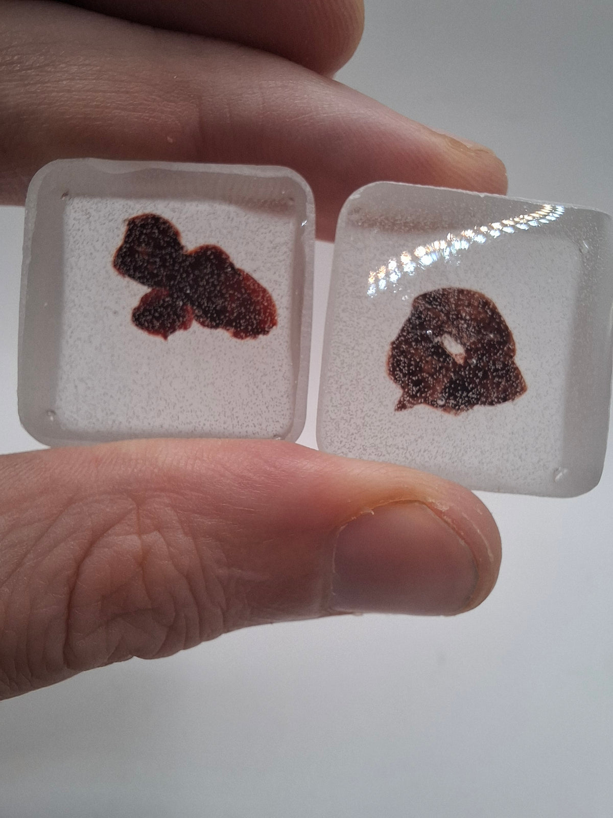 Discreatures (Bubbly Batch)