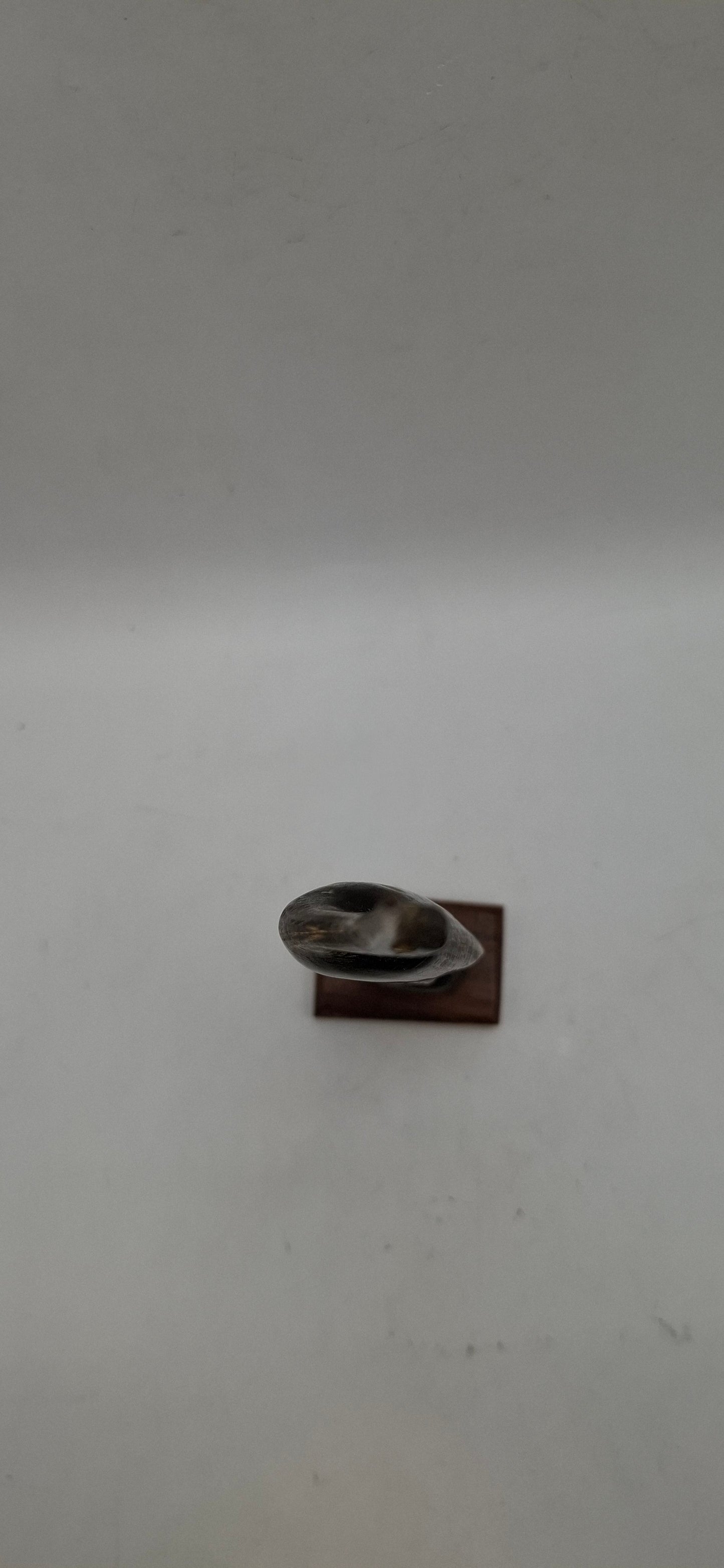 Skinny Bird Horn Carving (UK Only)