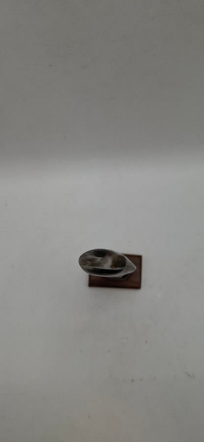 Skinny Bird Horn Carving (UK Only)