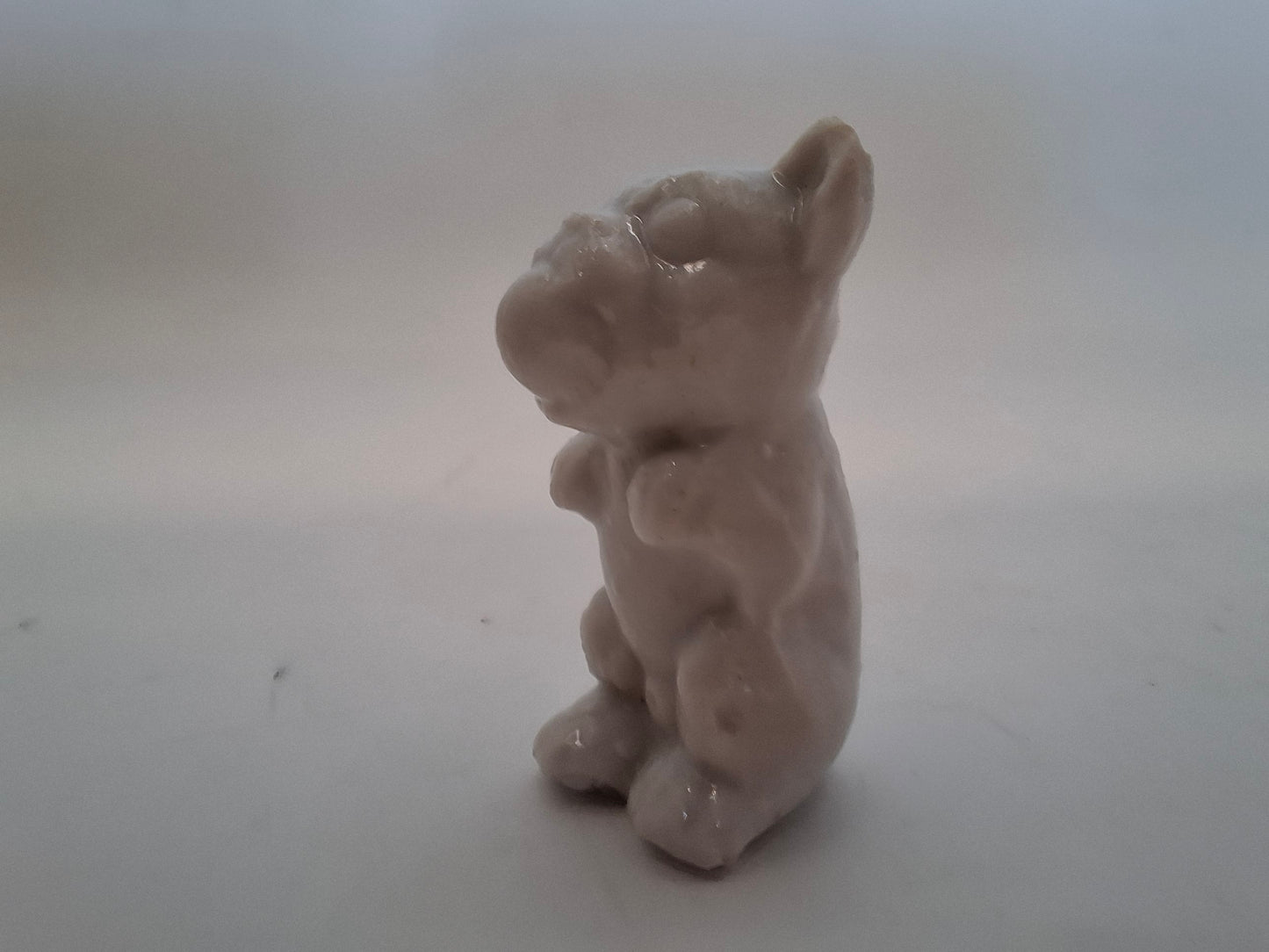 Tiny Animals MORE OF THEM