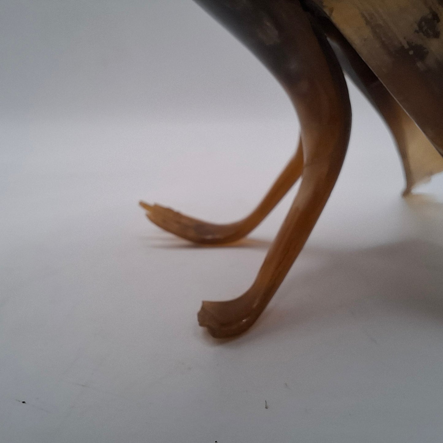 Horn Carving Of a Bird More Toes Missing (UK Only)