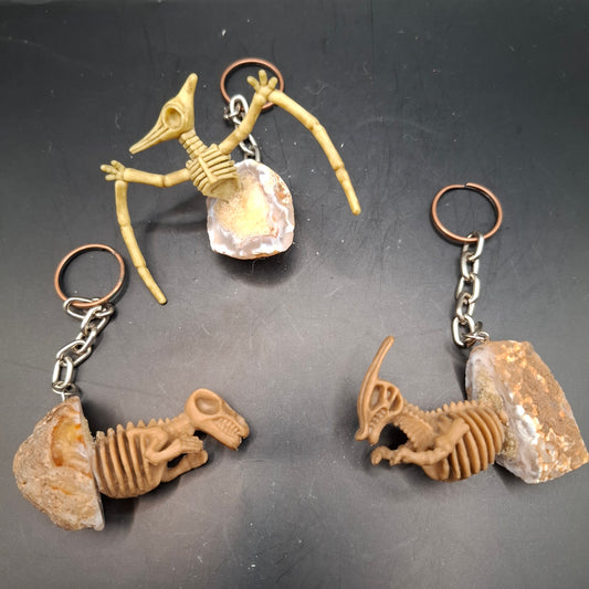 Dinosaur Keyrings