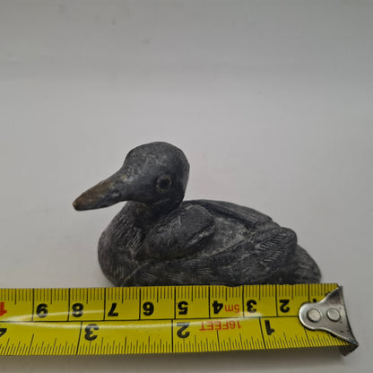 BDC - Black Duck, Canadian