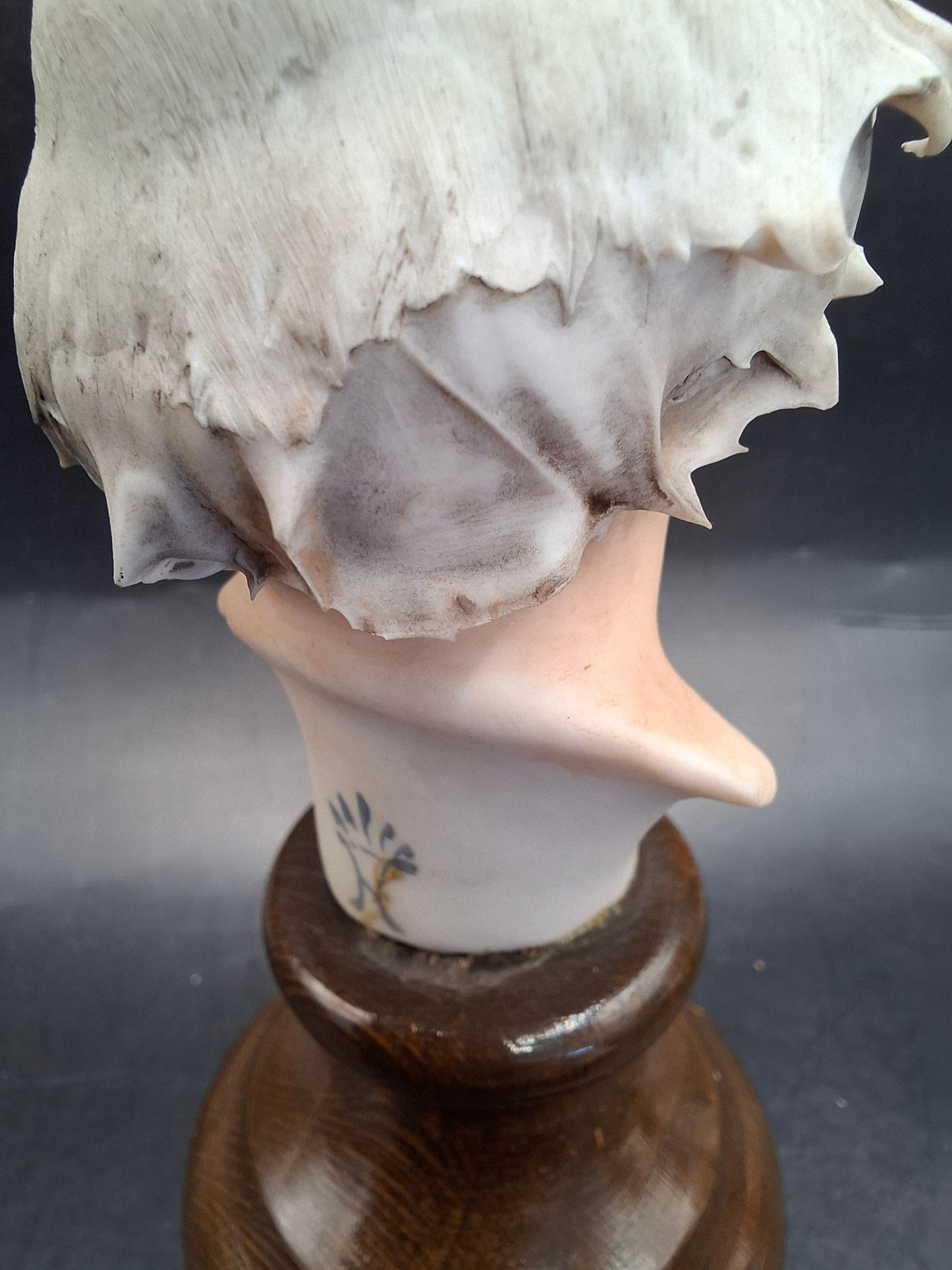 Old Man Heads
