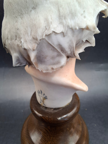 Old Man Heads