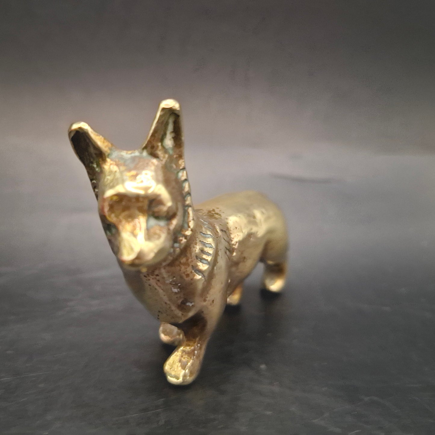 Metal Dog