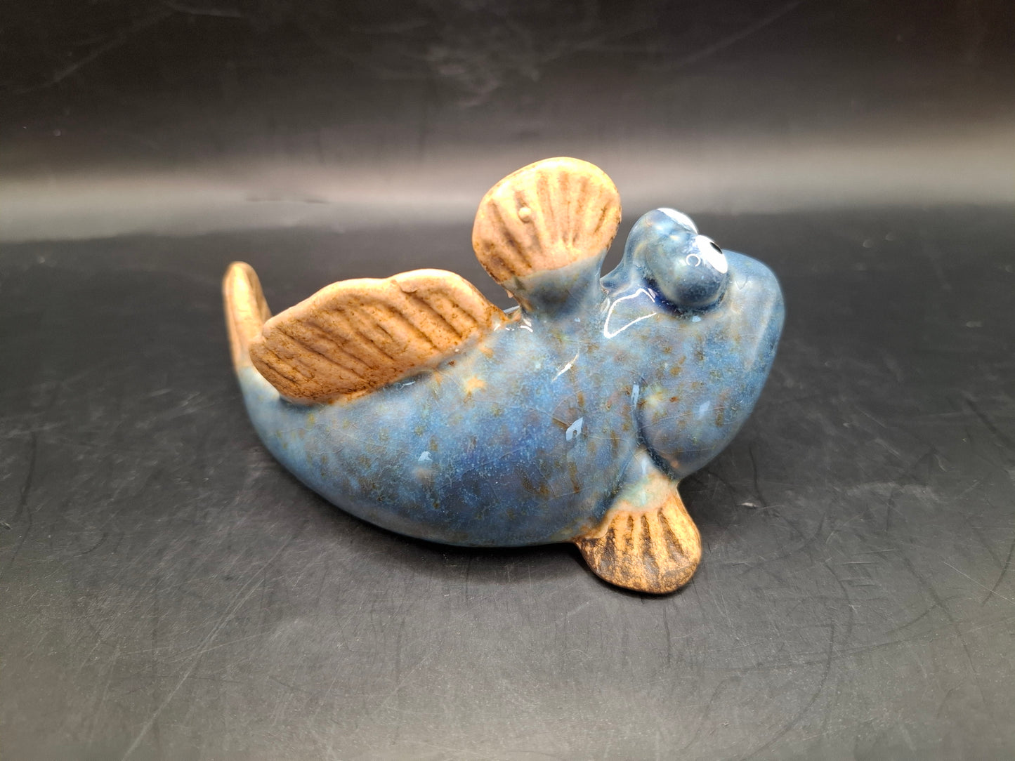 Blue Mudskipper