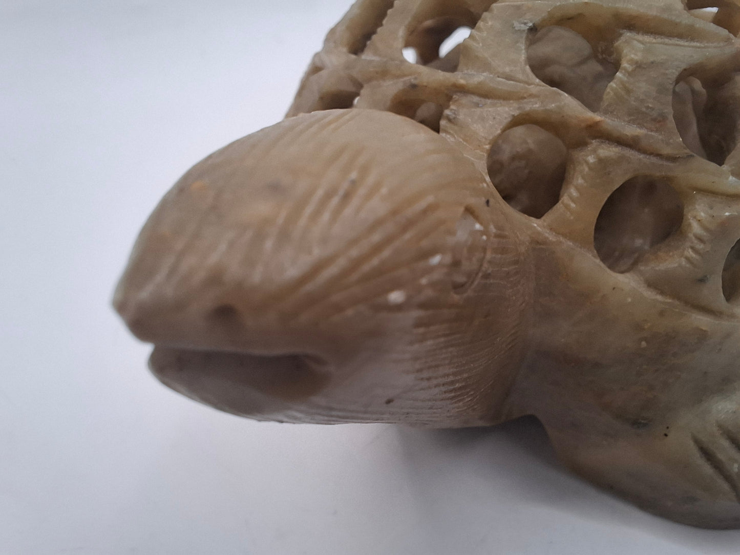 Pregnant Turtle Carving