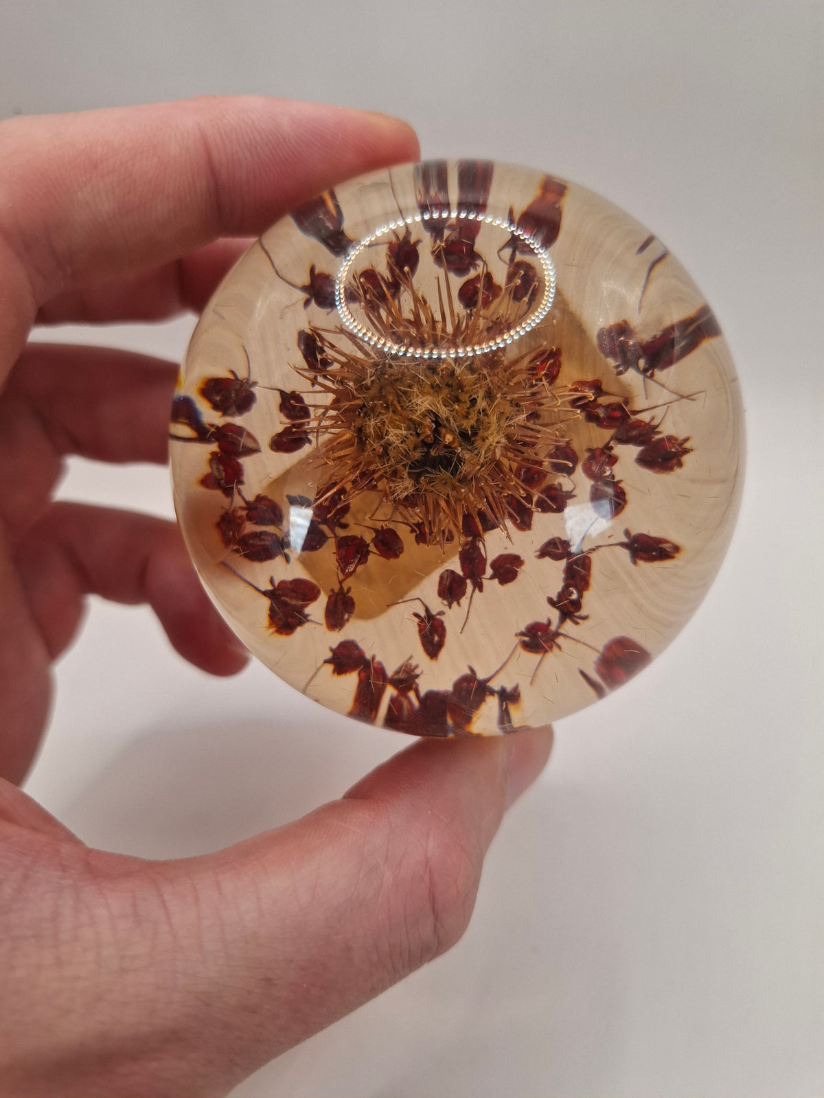 Vintage Resin Flowers