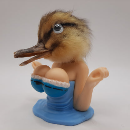 Chick With A Duck