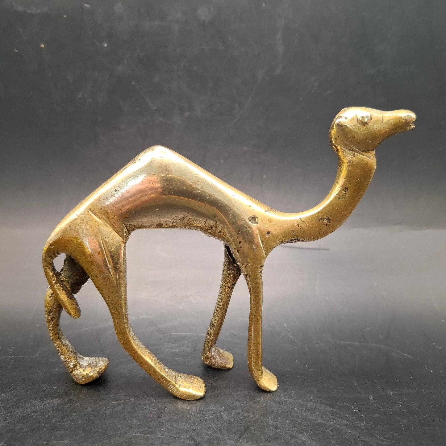 Metal Camel