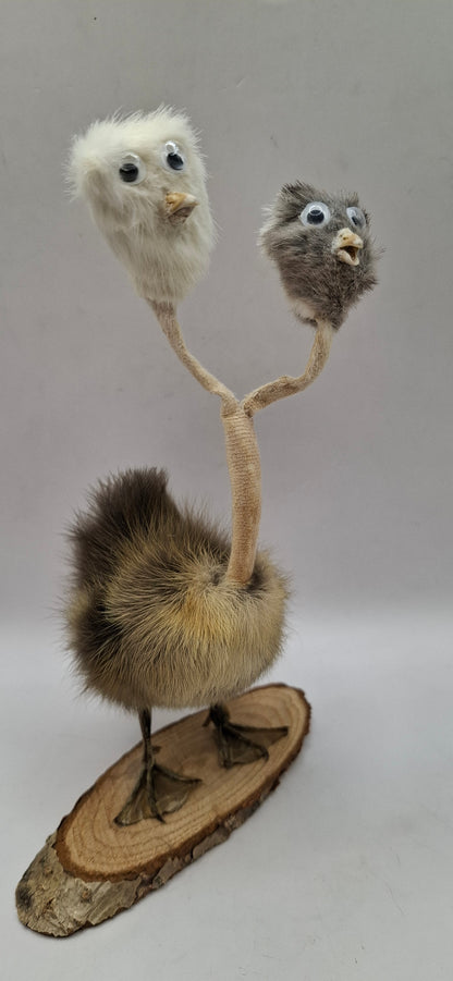 Twin Beaks