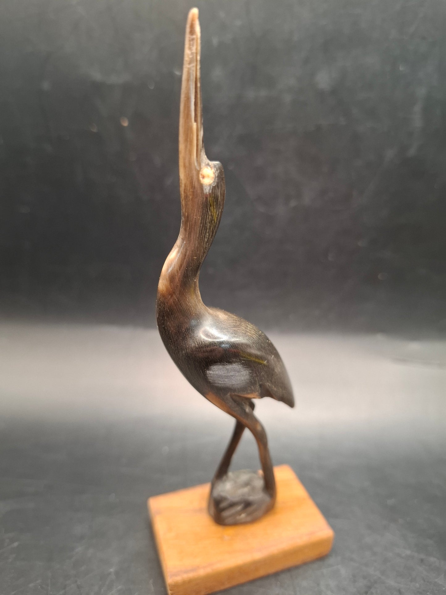 Mounted Bird Horn Carving (UK Only)