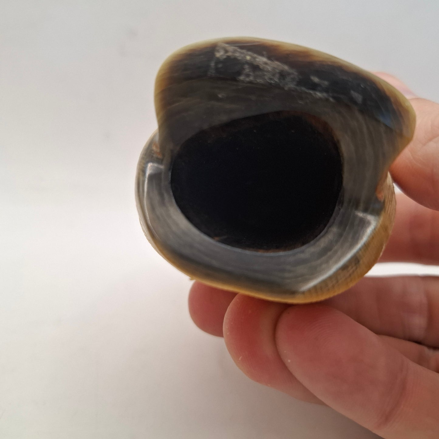 Horn Carving Of An Owl