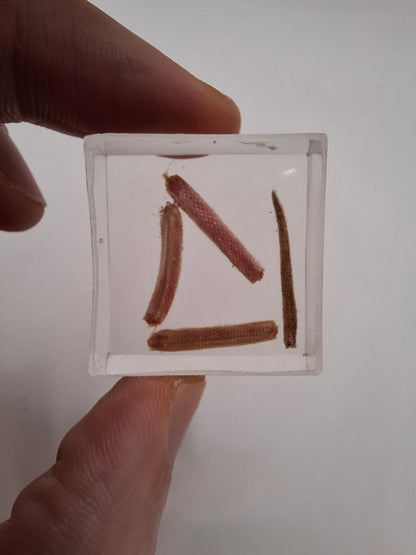 Bits Of Tail