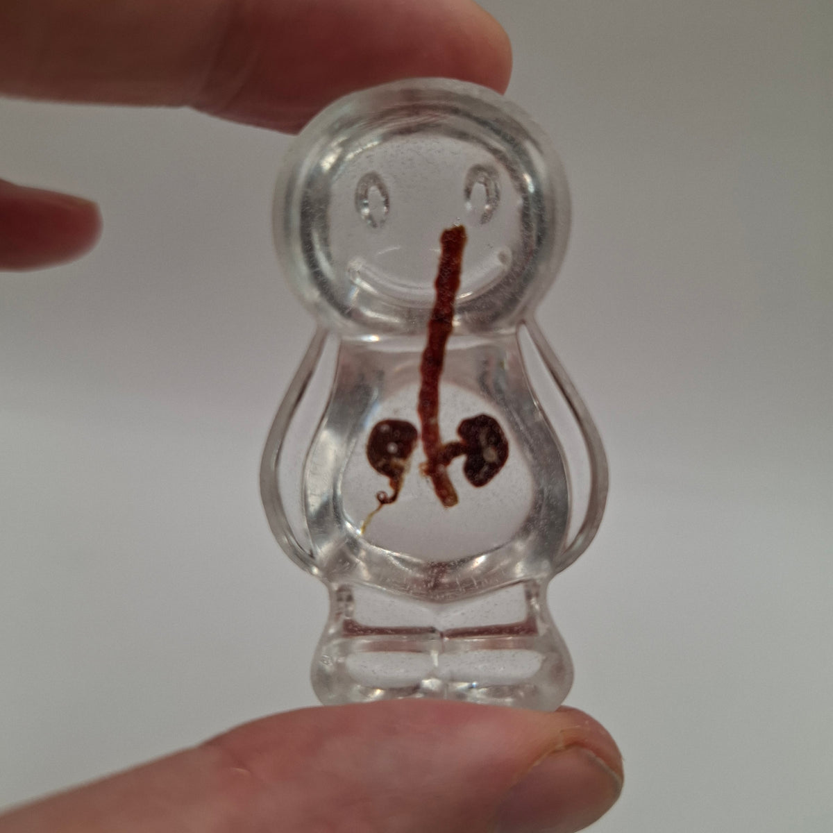 Anatony (Bubblier Batch)