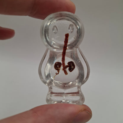 Anatony (Bubblier Batch)