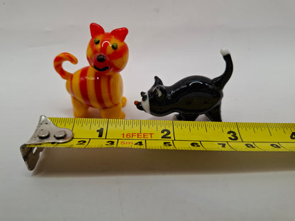 Glass Arsehole Cats