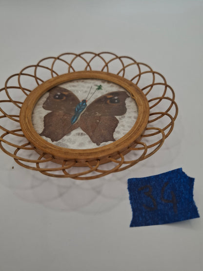 Butterfly Coasters