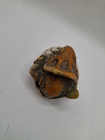 Hatchling Dino