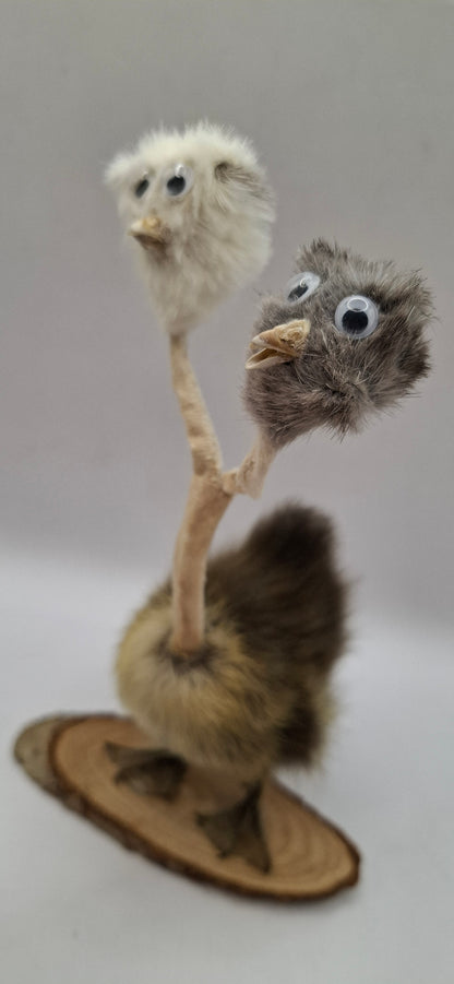 Twin Beaks