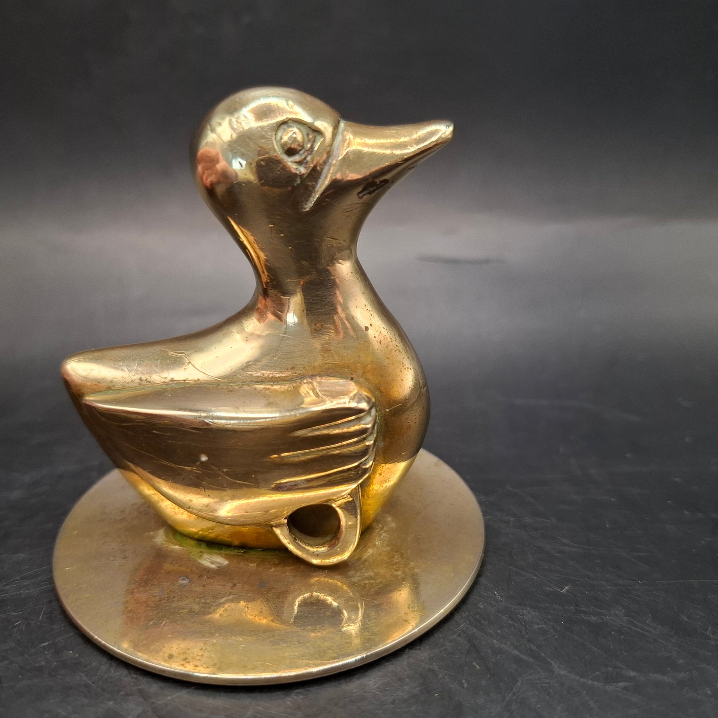 Metal Duck