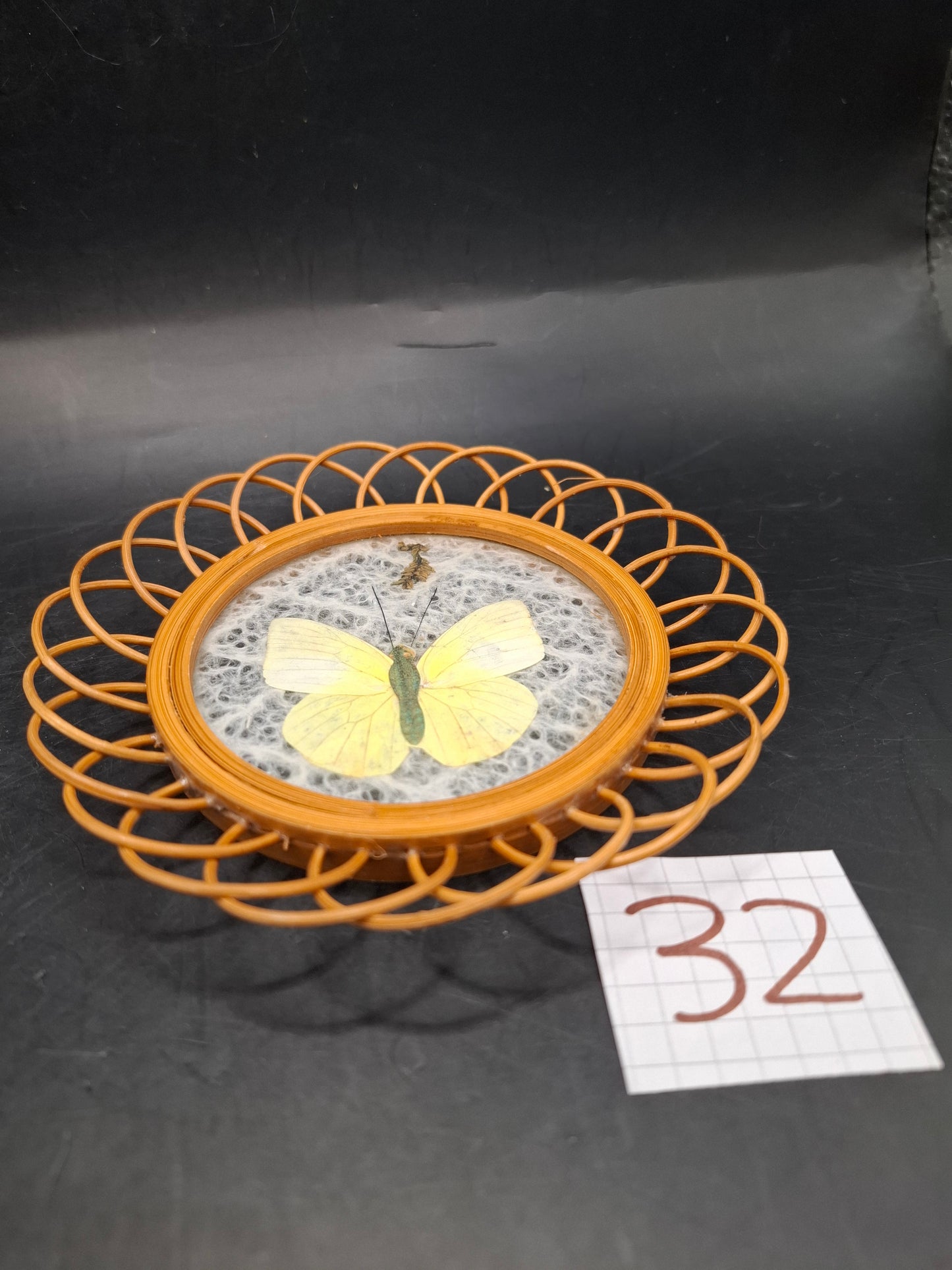 Butterfly Coasters