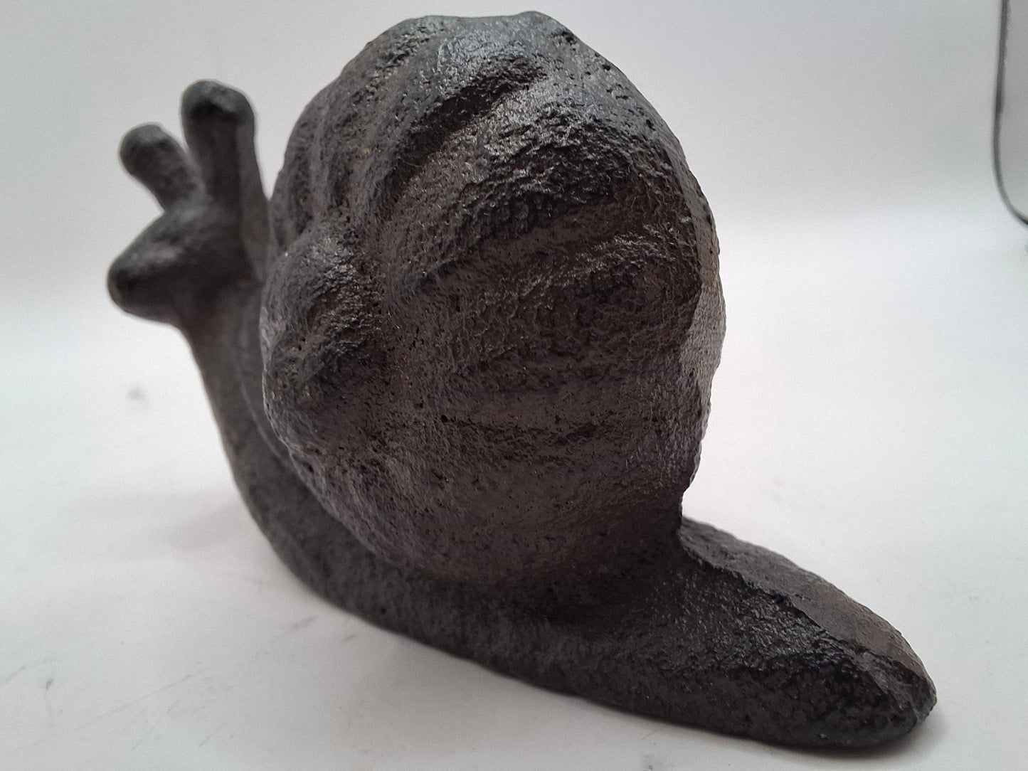 Black Snail