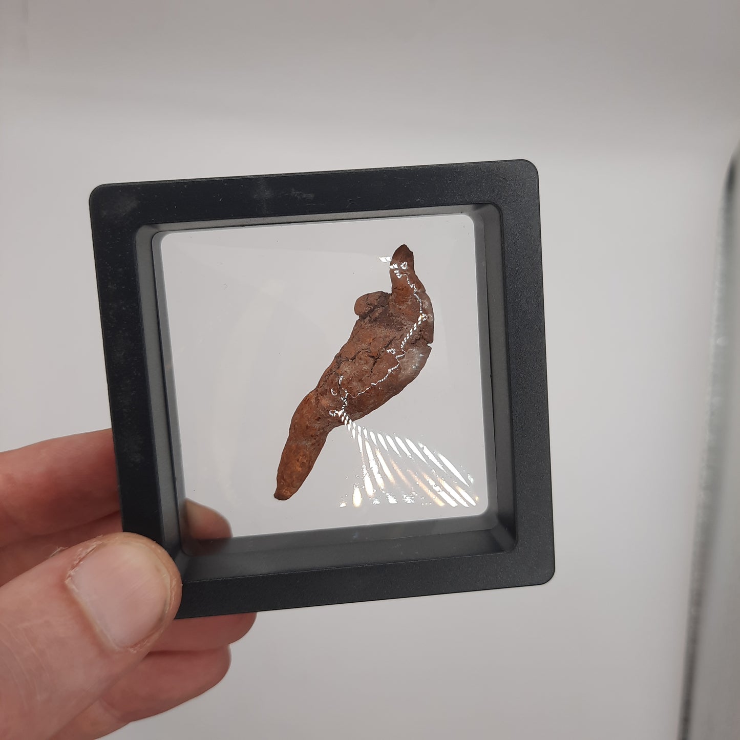 Framed Fossilised Shit