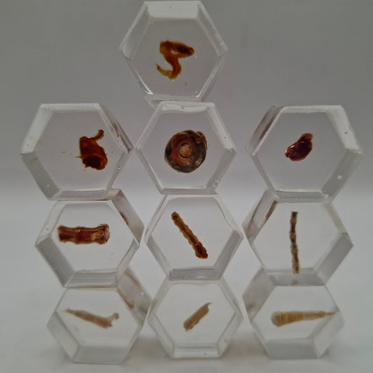 Hex Blocks