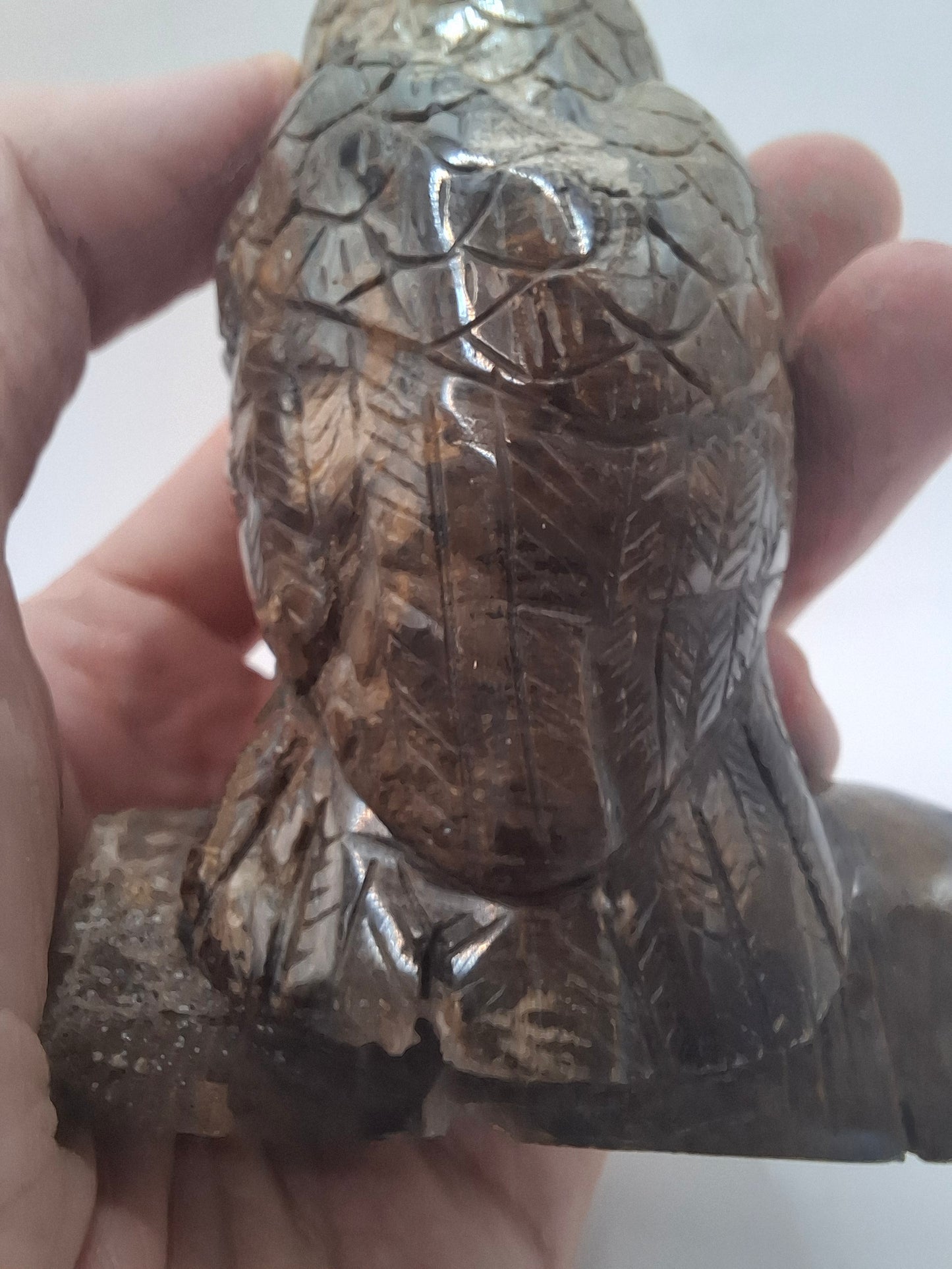Dark Owl Carving