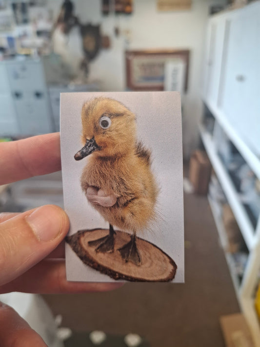 Duck Breast Fridge Magnet