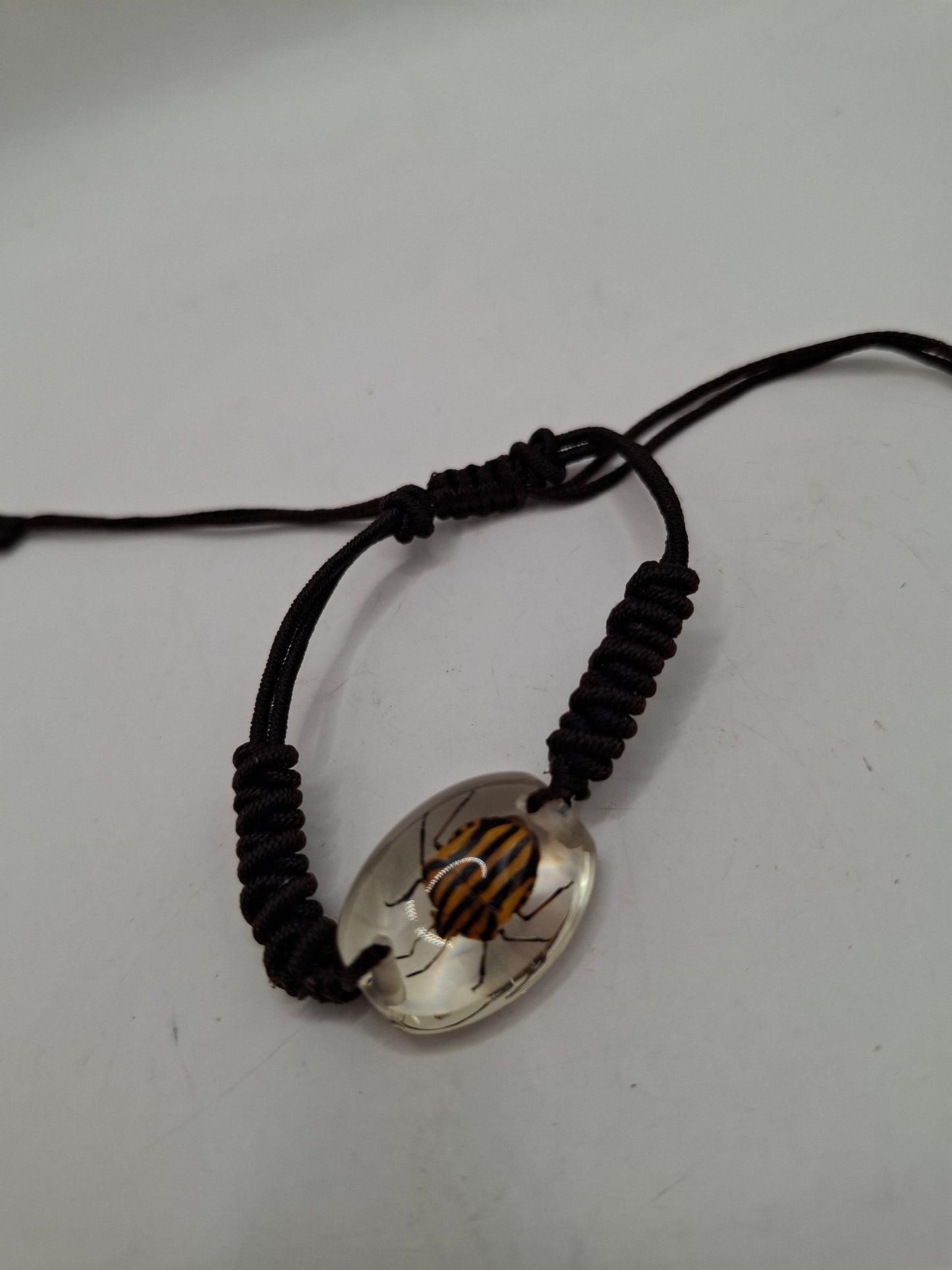 Red Lined Stink Bug Bracelet