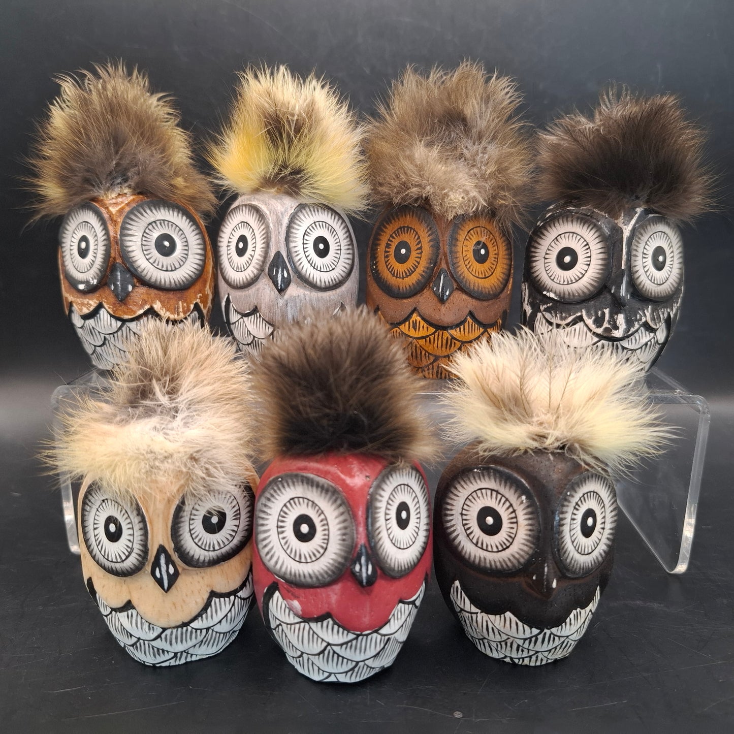 Owl Arse