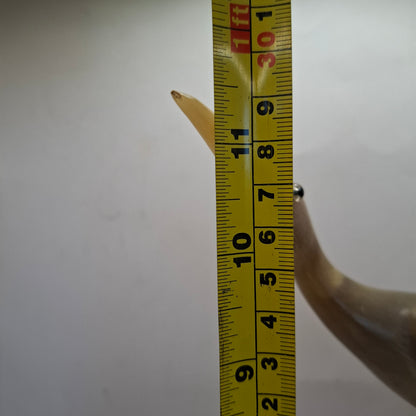 Horn Carved Into A Bird